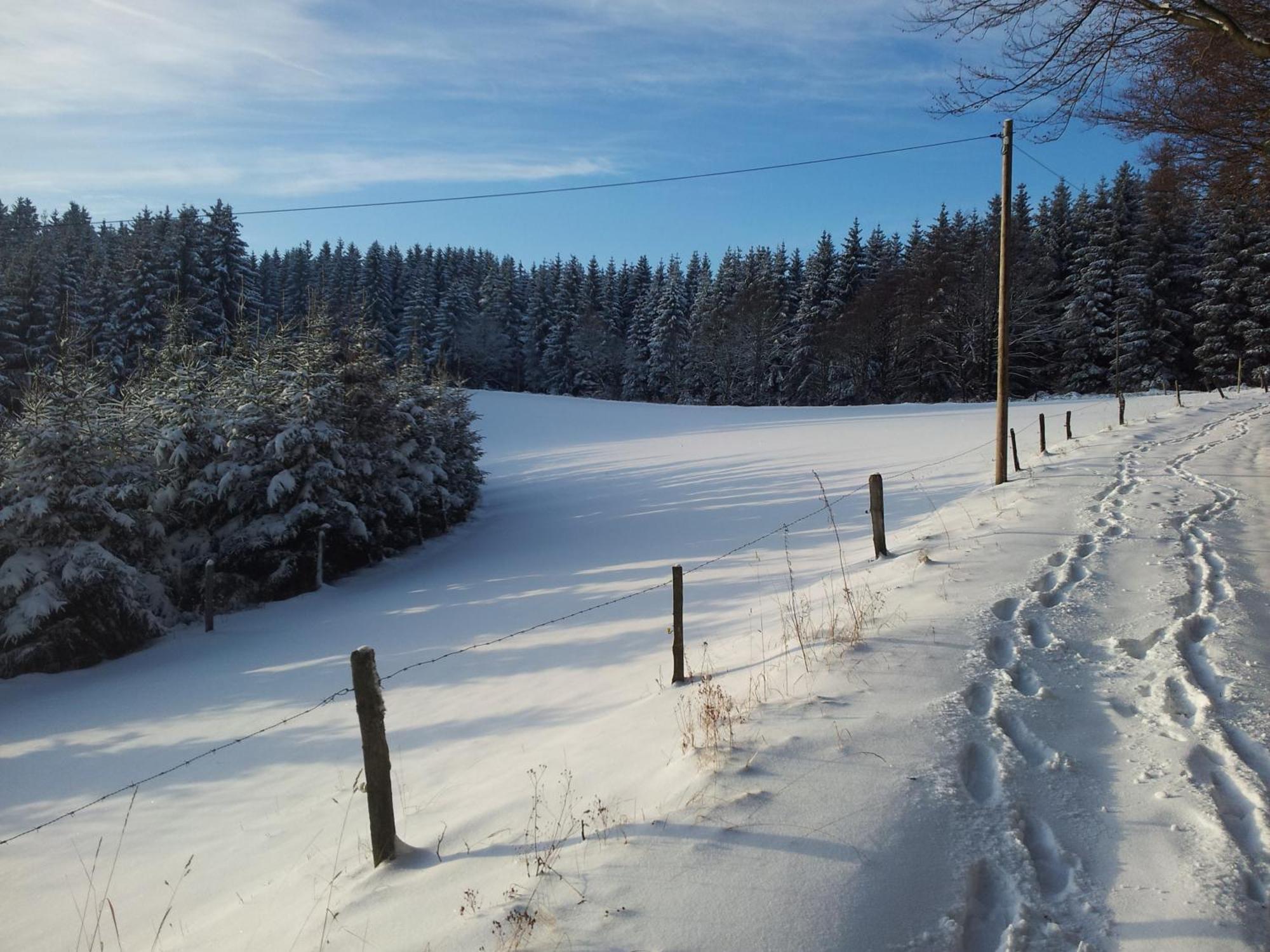 Landgasthof Nesselbach Nordenau Εξωτερικό φωτογραφία