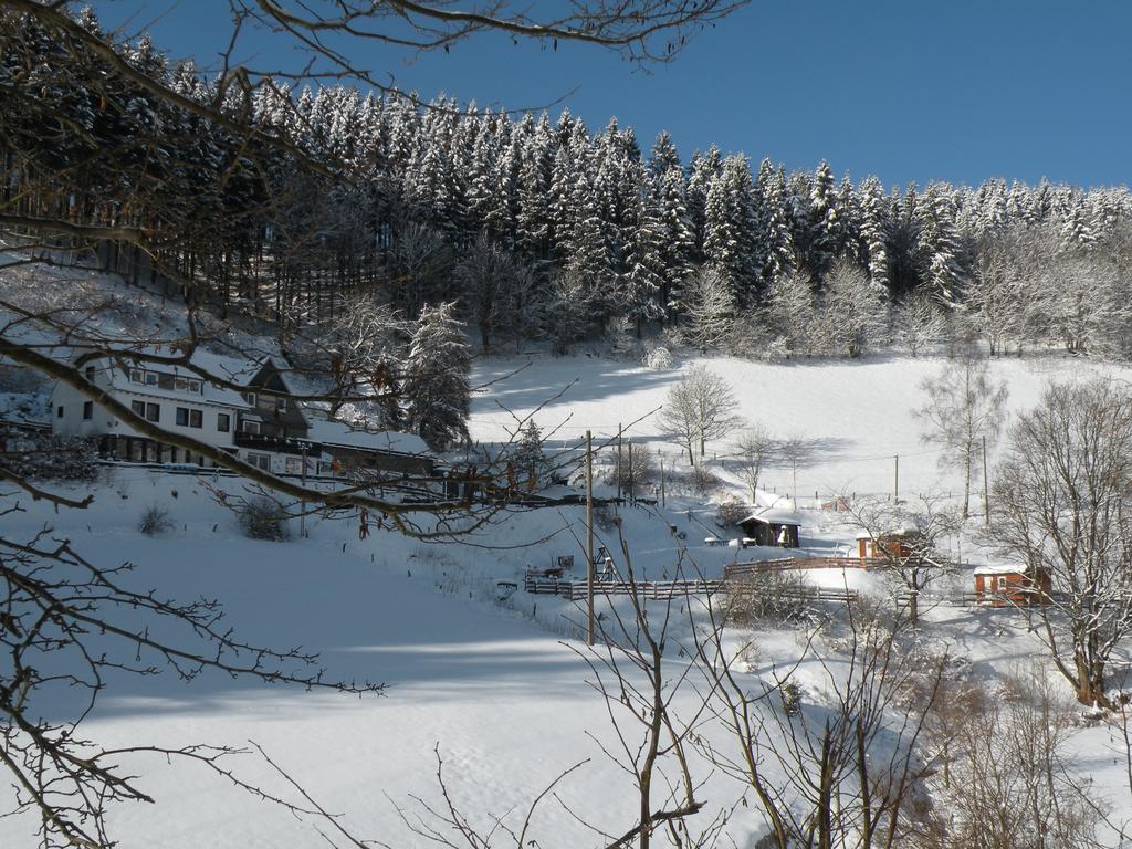 Landgasthof Nesselbach Nordenau Εξωτερικό φωτογραφία