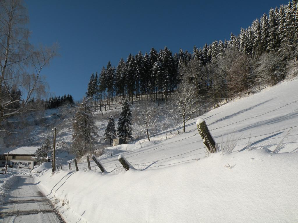Landgasthof Nesselbach Nordenau Εξωτερικό φωτογραφία